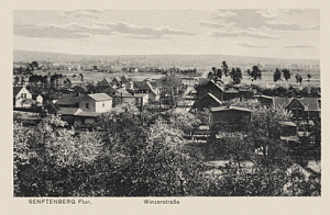 Senftenberg